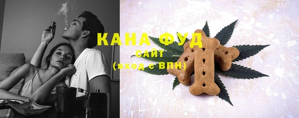 твердый Инсар