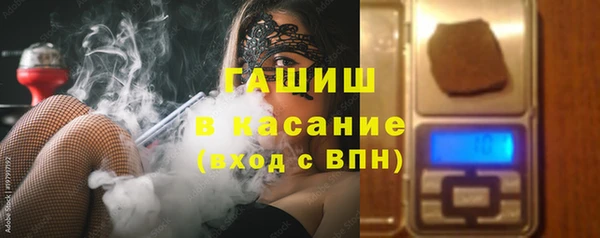 твердый Инсар