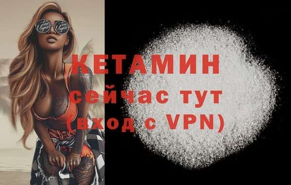 твердый Инсар