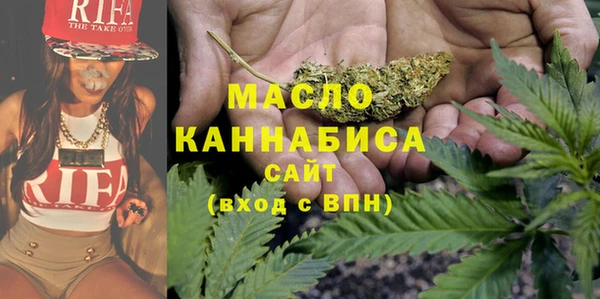 твердый Инсар
