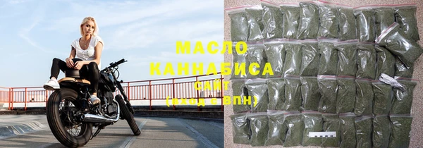 твердый Инсар