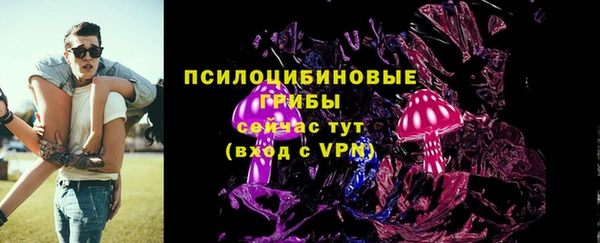 твердый Инсар