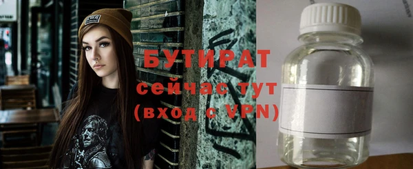 твердый Инсар