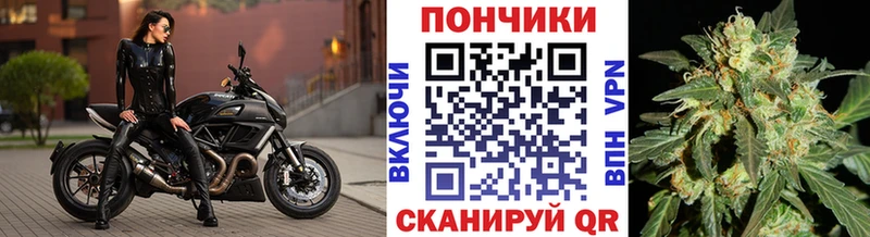 Бошки Шишки гибрид Гулькевичи